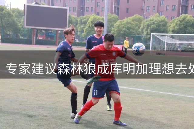 专家建议森林狼成库明加理想去处 薪资空间成唯一障碍