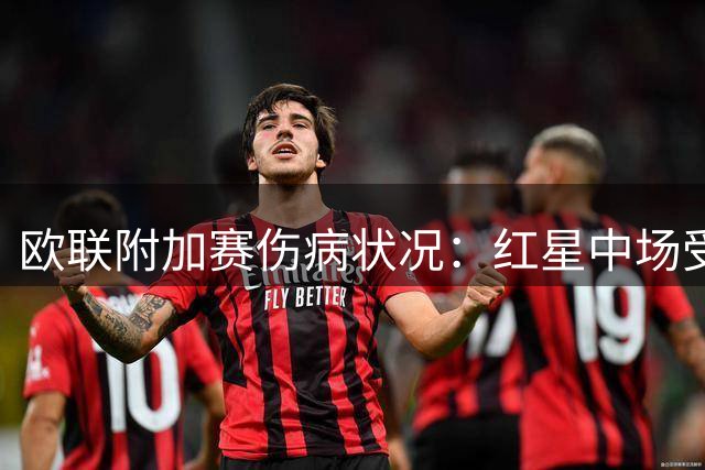 欧联附加赛伤病状况：红星中场受限，比尔森后防告急
