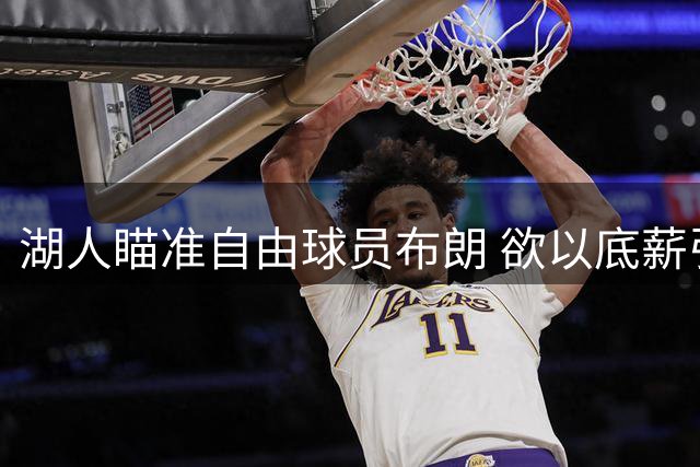 湖人瞄准自由球员布朗 欲以底薪引进上赛季全勤悍将