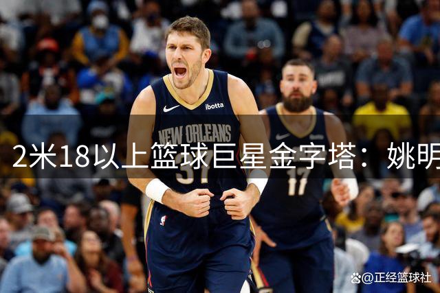 2米18以上篮球巨星金字塔：姚明跻身历史前五 天勾独占鳌头