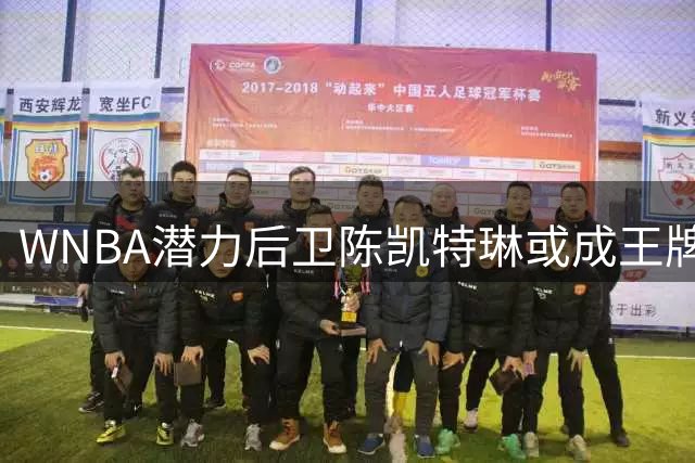 WNBA潜力后卫陈凯特琳或成王牌队争冠关键拼图